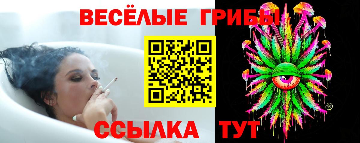 Галлюциногенные грибы мицелий Энгельс